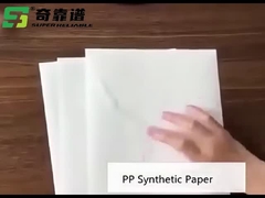 PP-Matte synthetisches Papier Klebstoff für Etiketten